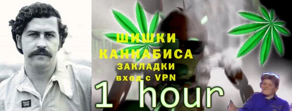 шишки Алексин