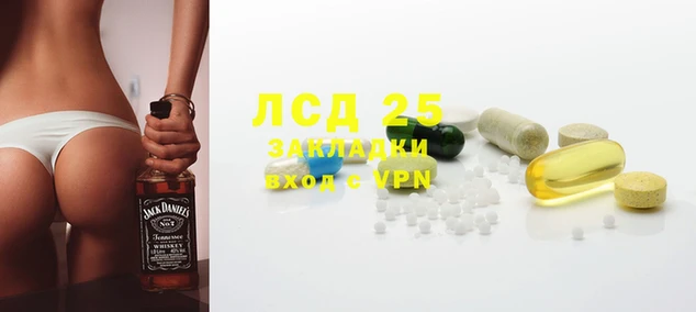 шишки Алексин