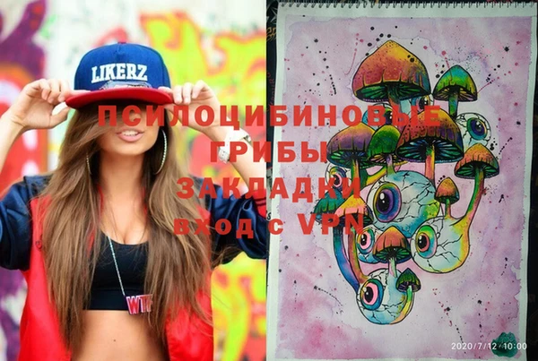 сатива Алексеевка